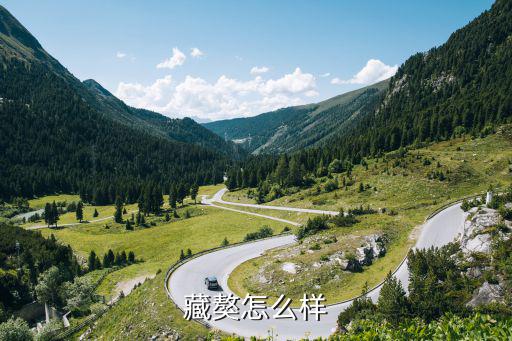 藏獒怎么样