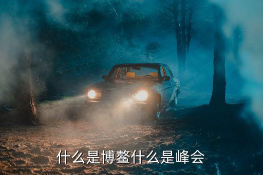 什么是博鳌什么是峰会