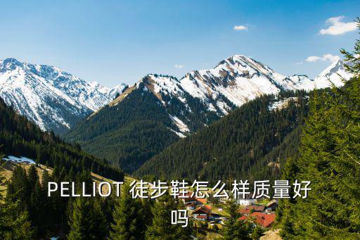 第一户外的徒步鞋怎么样，徒步鞋 登山鞋怎么样有买过徒步鞋 登山鞋的朋友吗