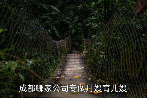 成都哪家公司专做月嫂育儿嫂