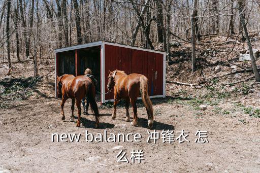 new balance 冲锋衣 怎么样
