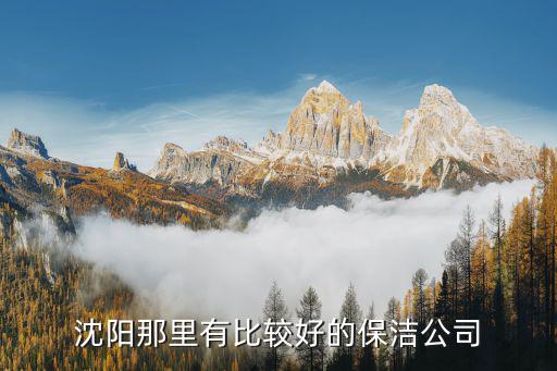 沈阳那里有比较好的保洁公司