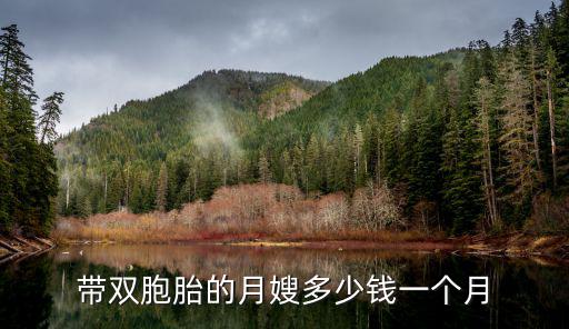 重庆双胞胎月嫂多少钱，双胞胎月嫂收费标准