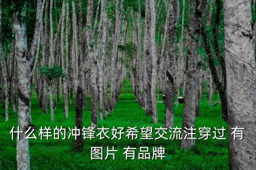 冲锋衣买什么样的2015，买冲锋衣应该买什么样的