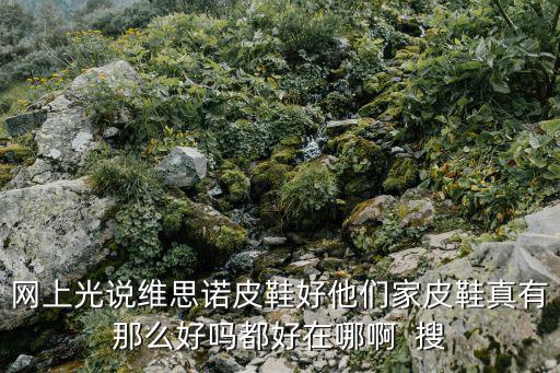 网上光说维思诺皮鞋好他们家皮鞋真有那么好吗都好在哪啊  搜