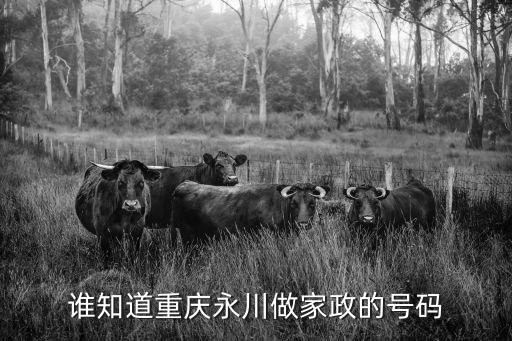 谁知道重庆永川做家政的号码