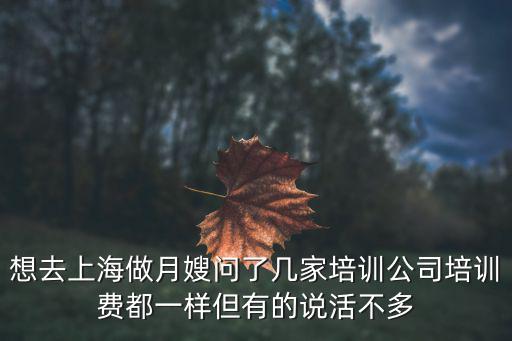 想去上海做月嫂问了几家培训公司培训费都一样但有的说活不多