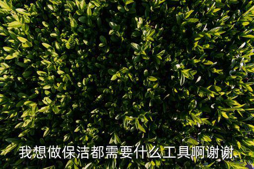 干家政都需要什么工具，我想做保洁都需要什么工具啊谢谢