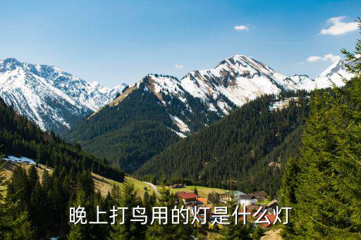 晚上打鸟用的灯是什么灯