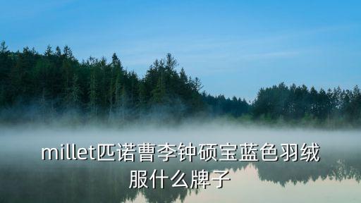 millet羽绒服怎么样，M3是什么牌子的服饰