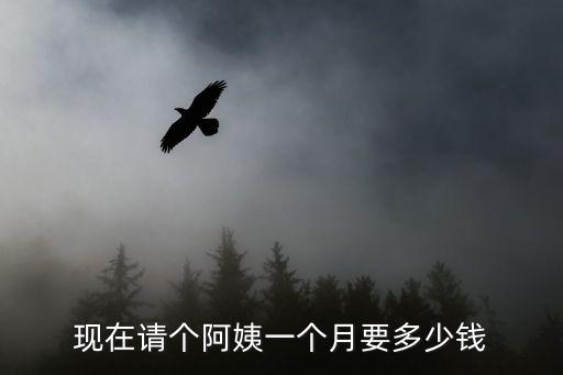家政阿姨一个月多少钱一个月多少钱，住家保姆一个月工资多少