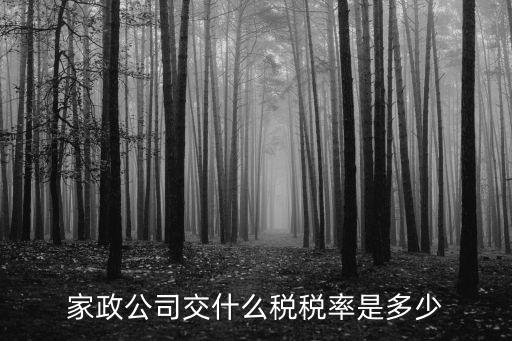 家政税率是多少 2017，保洁公司开的增值税发票的税率是多少