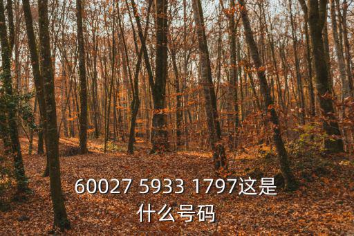 汉南炎黄家政电话是多少，076985229110这是啥电话