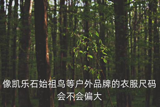 像凯乐石始祖鸟等户外品牌的衣服尺码会不会偏大