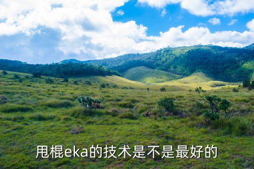 甩棍eka的技术是不是最好的