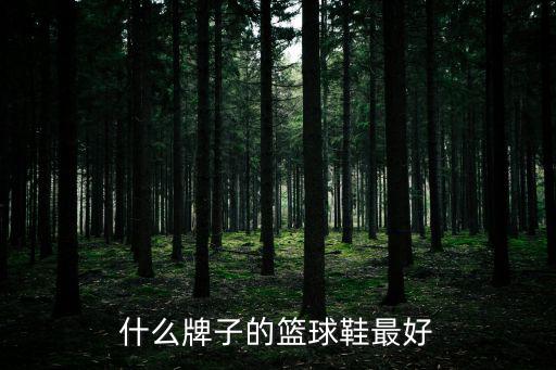 什么牌子的篮球鞋最好
