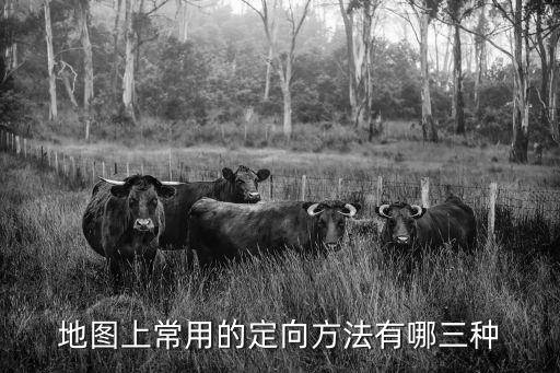 地图上常用的定向方法有哪三种
