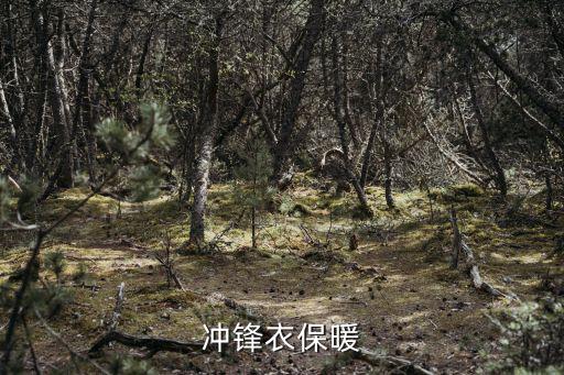 冲锋衣保暖怎么样，冲锋衣保暖吗