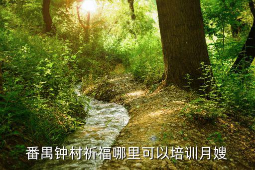 番禺钟村祈福哪里可以培训月嫂