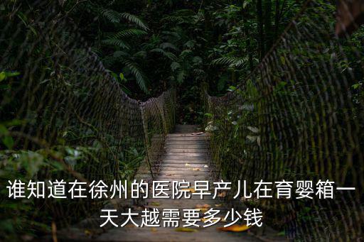 谁知道在徐州的医院早产儿在育婴箱一天大越需要多少钱