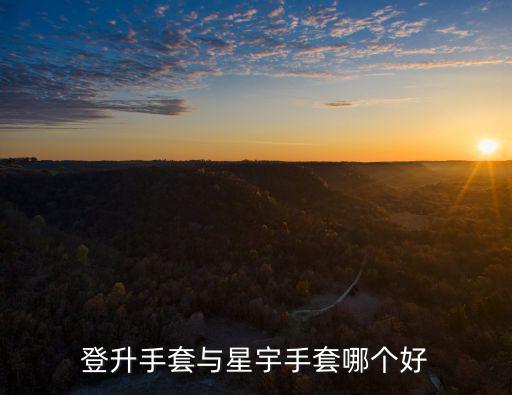 登升手套与星宇手套哪个好