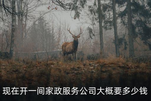 家政公司怎么开要多少钱，现在开一间家政服务公司大概要多少钱