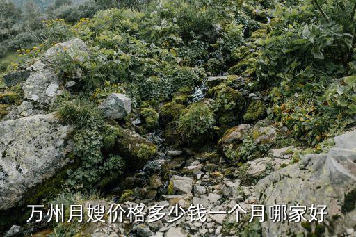 万州月嫂价格多少钱一个月哪家好