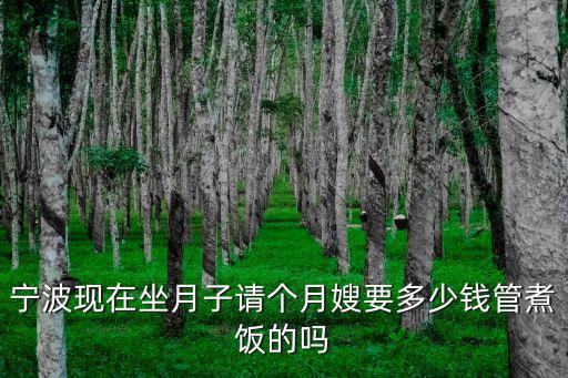 宁波现在坐月子请个月嫂要多少钱管煮饭的吗