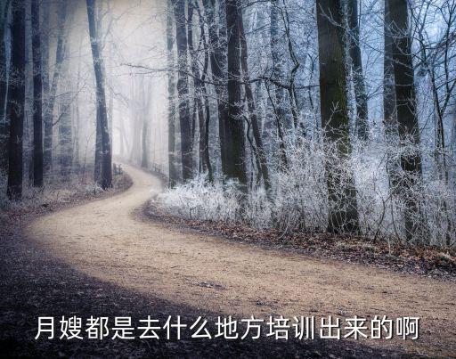 哪里培训月嫂的，月嫂哪里可以培训