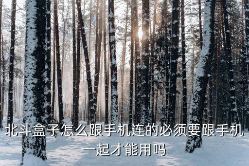 北斗盒子怎么跟手机连的必须要跟手机一起才能用吗