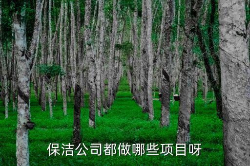 保洁公司都做哪些项目呀