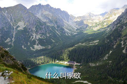 什么叫家政