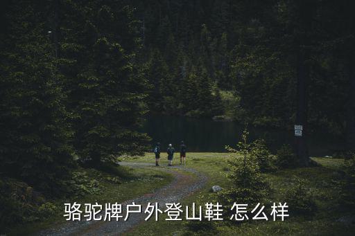 骆驼牌户外登山鞋 怎么样