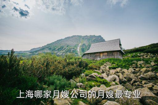 上海哪家月嫂公司的月嫂最专业