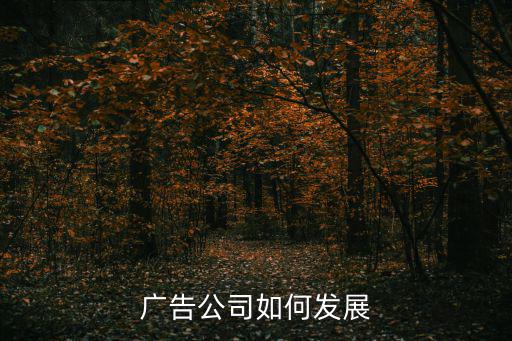 广告公司如何发展