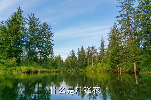 什么叫摇粒冲锋衣，摇粒风衣什么意思