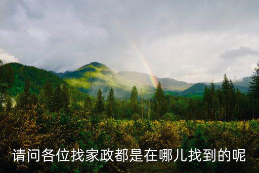 请问各位找家政都是在哪儿找到的呢