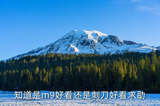 知道是m9好看还是刺刀好看求助
