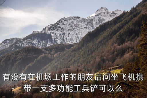 多功能兵工铲有什么用，去野外待4天带中国多功能工兵铲可以吗和瑞士军刀丛林之王哪个