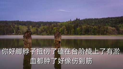 登山鞋有一只磕的脚脖子疼怎么办，你好脚脖子扭伤了磕在台阶棱上了有淤血都肿了好像伤到筋