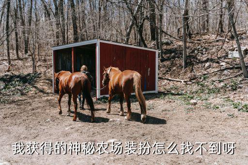神秘农场怎么样，我获得的神秘农场装扮怎么找不到呀