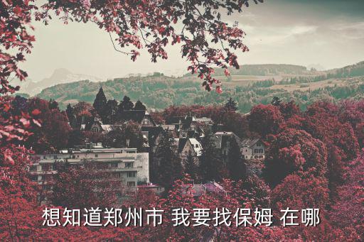 想知道郑州市 我要找保姆 在哪