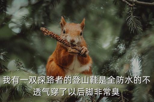 登山鞋不透气怎么办，我有一双探路者的登山鞋是全防水的不透气穿了以后脚非常臭