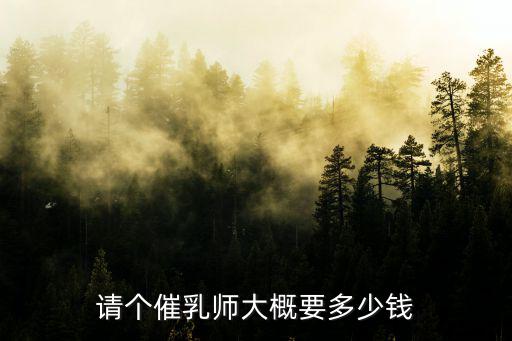 请个催乳师大概要多少钱