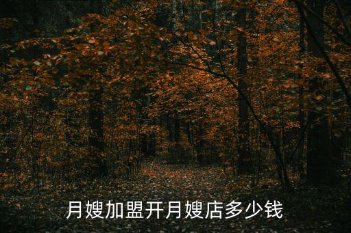 月嫂加盟开月嫂店多少钱