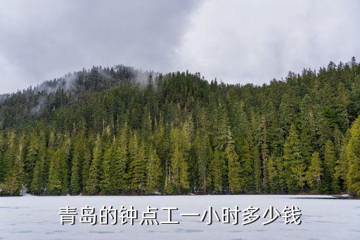 青岛的钟点工一小时多少钱