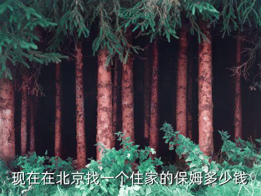 北京保姆月工资多少，北京保姆的工资是多少