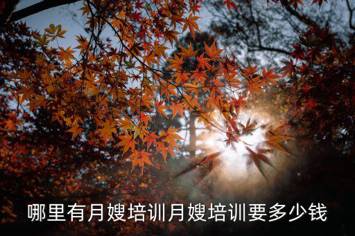 月嫂高级证培训多少钱一个月多少钱，哪里有月嫂培训月嫂培训要多少钱
