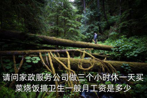 请问家政服务公司做三个小时休一天买菜烧饭搞卫生一般月工资是多少
