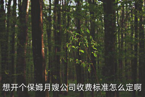 家政公司投资要多少钱，现在开一间家政服务公司大概要多少钱